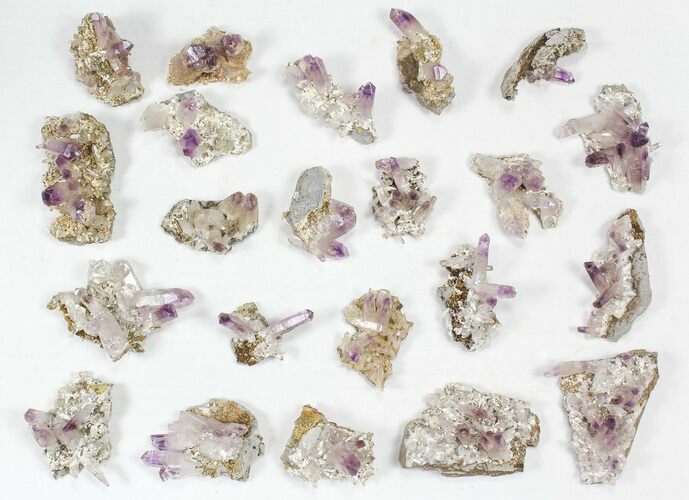 Lot: Veracruz Amethyst Clusters - Pieces #80634